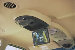 Rear seat entertainment system